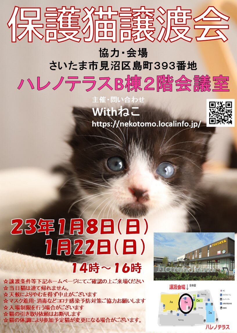 【さいたま市】１/22（日）ハレノテラス保護猫譲渡会