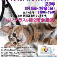 【さいたま市】3/19（日）ハレノテラス保護猫譲渡会
