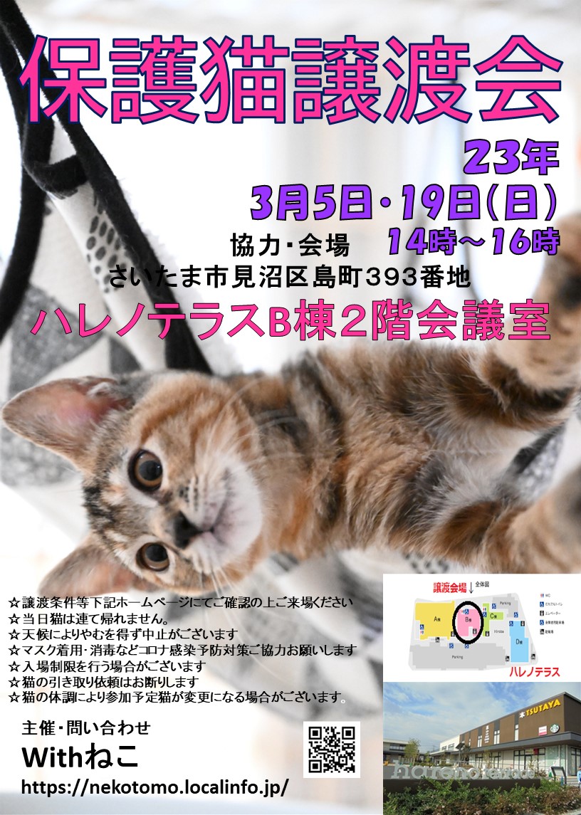 【さいたま市】3/19（日）ハレノテラス保護猫譲渡会