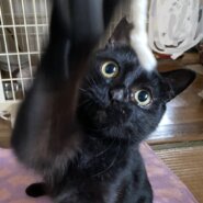 ハンデも吹き飛ぶ愛らしさ 竹蔵ちゃん