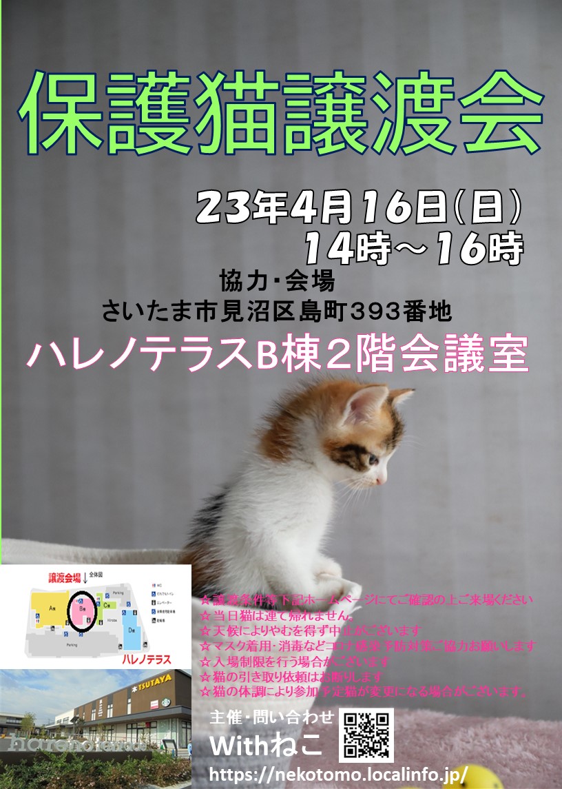 【さいたま市】4/16（日）ハレノテラス保護猫譲渡会