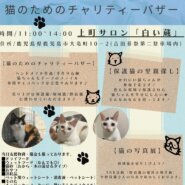 鹿児島保護猫譲渡会＆地域猫チャリティーイベント♪