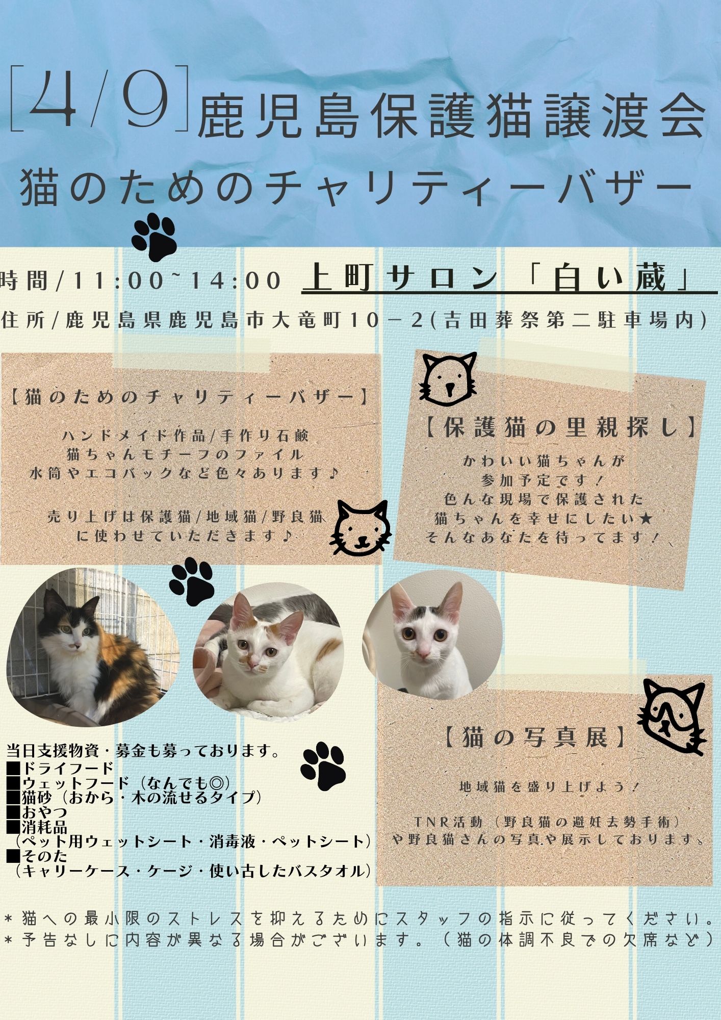 鹿児島保護猫譲渡会＆地域猫チャリティーイベント♪