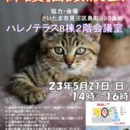 【さいたま市】5/21（日）ハレノテラス保護猫譲渡会