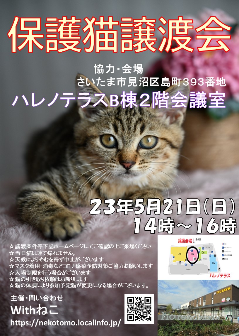 【さいたま市】5/21（日）ハレノテラス保護猫譲渡会