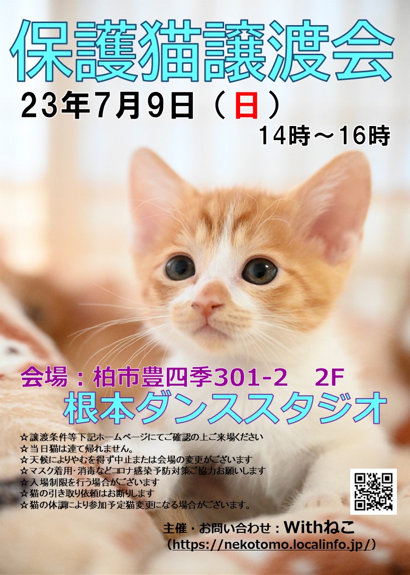 【柏市】7/9（日）根本ダンススタジオ保護猫譲渡会