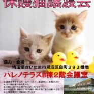 【さいたま市】7/16（日）ハレノテラス保護猫譲渡会