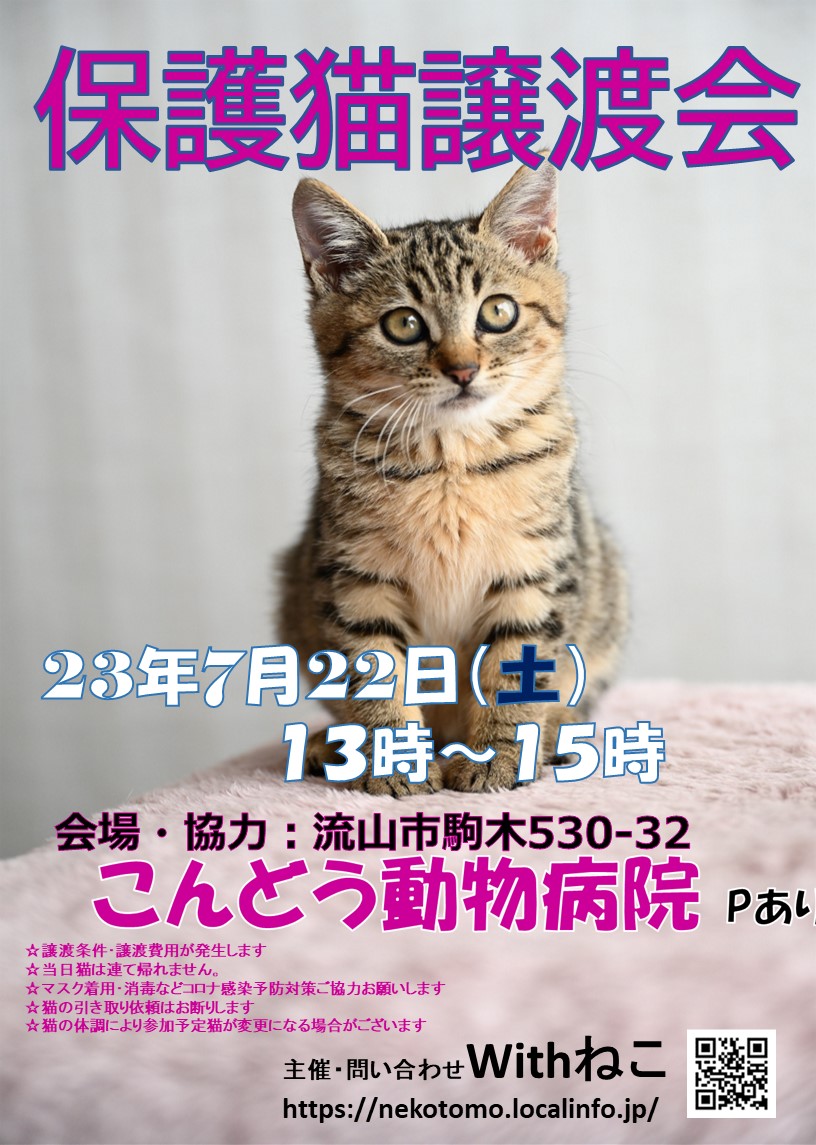 【流山市】7/22（土）こんどう動物病院保護猫譲渡会