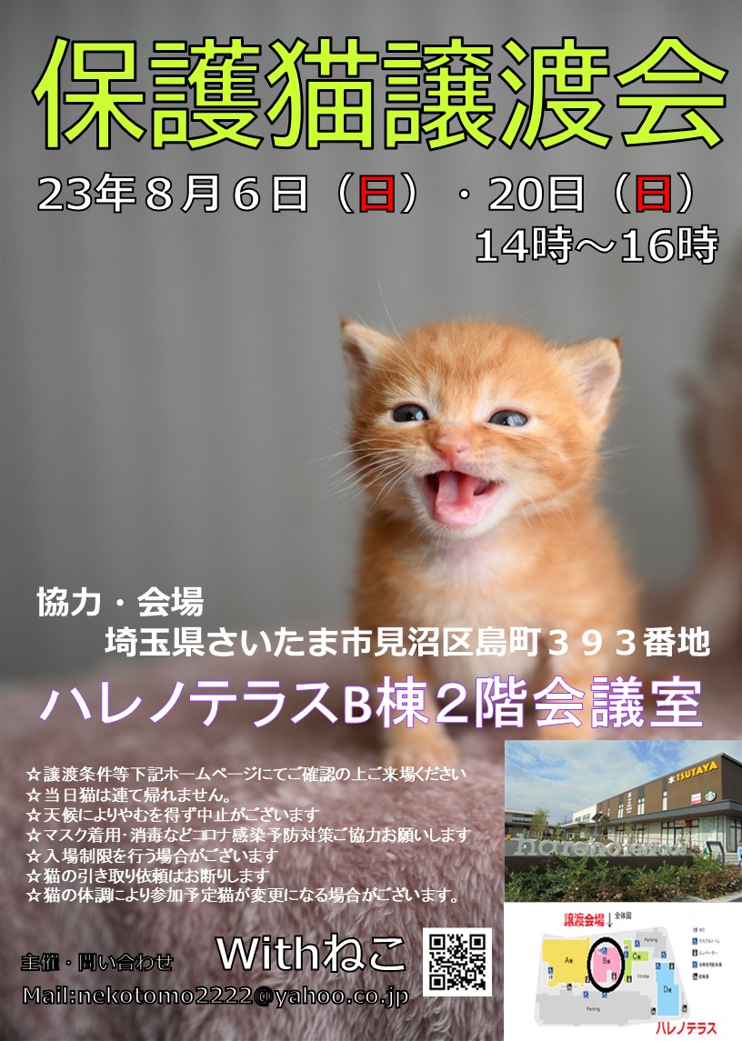 【さいたま市】８/６（日）ハレノテラス保護猫譲渡会