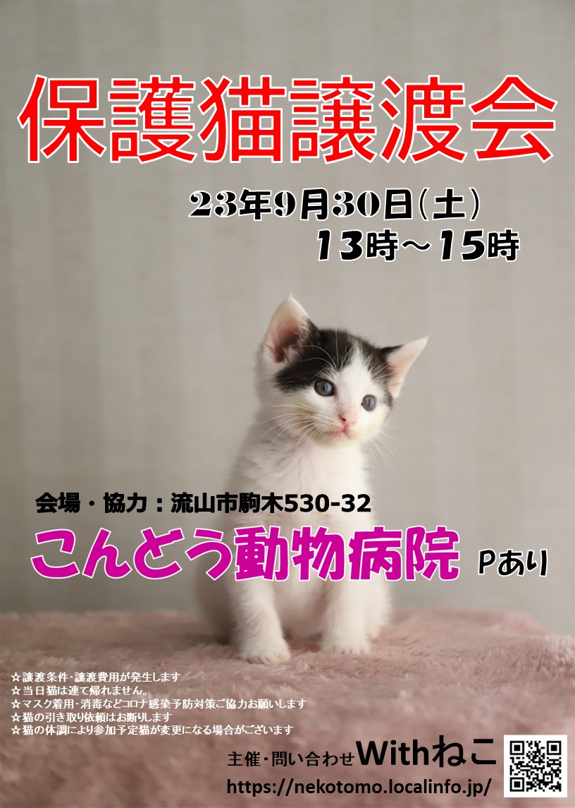 【流山市】9/30（土）こんどう動物病院保護猫譲渡会