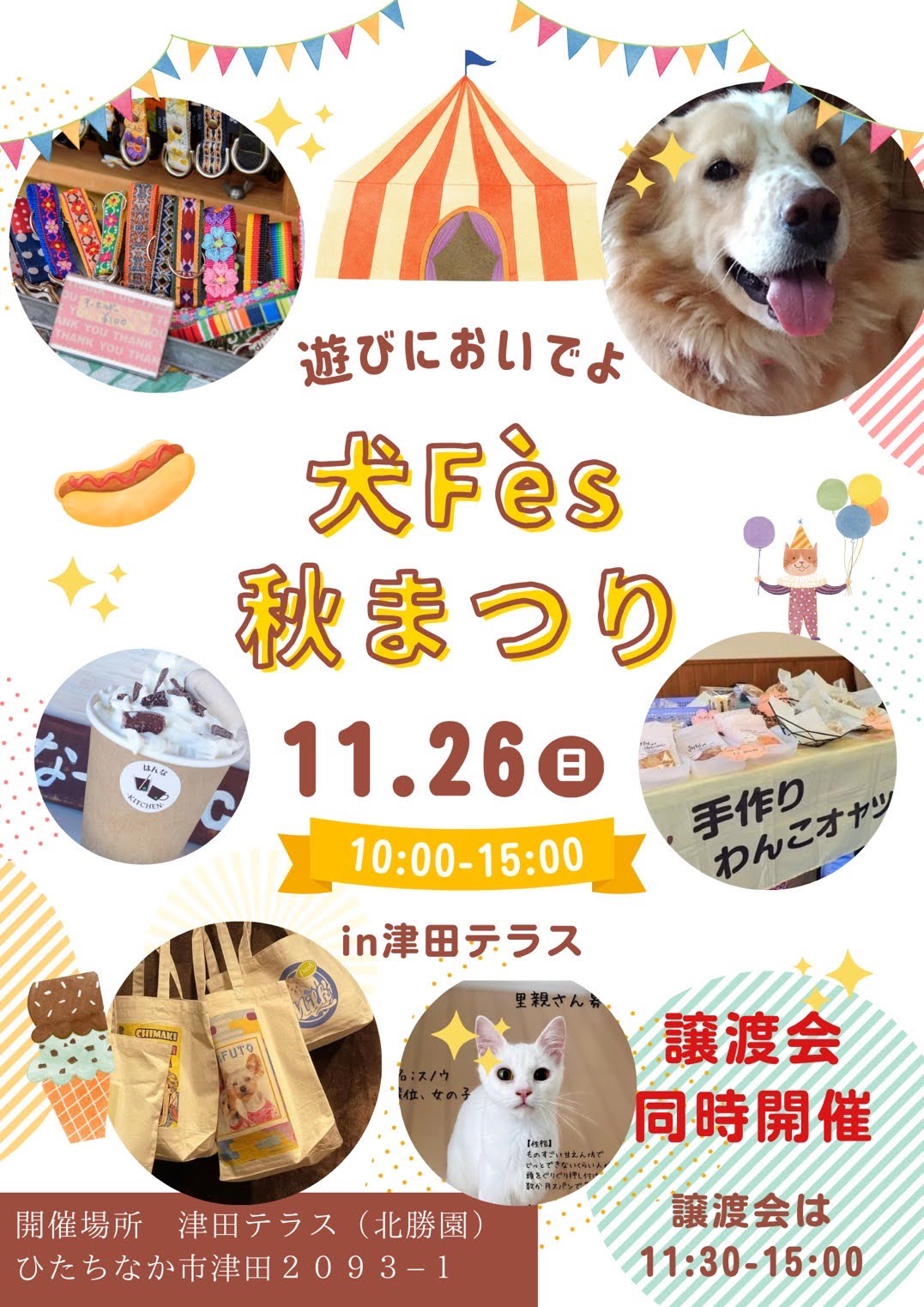 犬Fés　秋祭り de　譲渡会