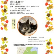 名古屋市名東区　保護猫譲渡会　by アイラの会