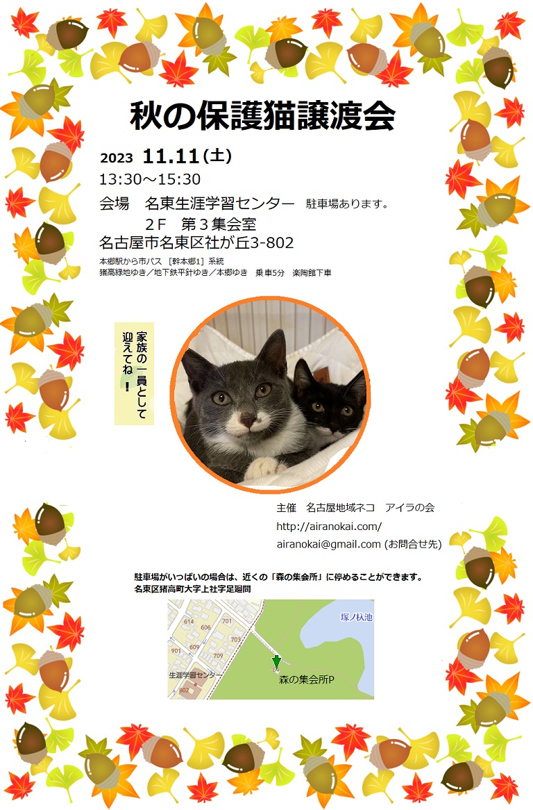 保護猫譲渡会＠名古屋１１/１１