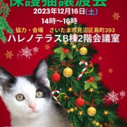 12/16（土）ハレノテラス保護猫譲渡会♡さいたま市