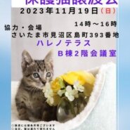 11/19（日）ハレノテラス保護猫譲渡会♡さいたま市