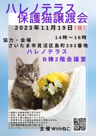 11/19（日）ハレノテラス保護猫譲渡会♡さいたま市