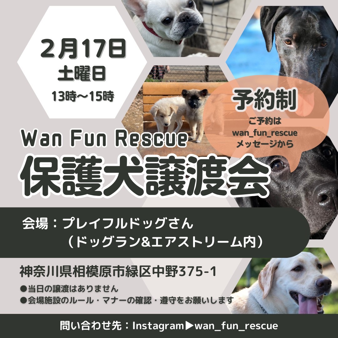 wan_fun_rescue譲渡会開催します！