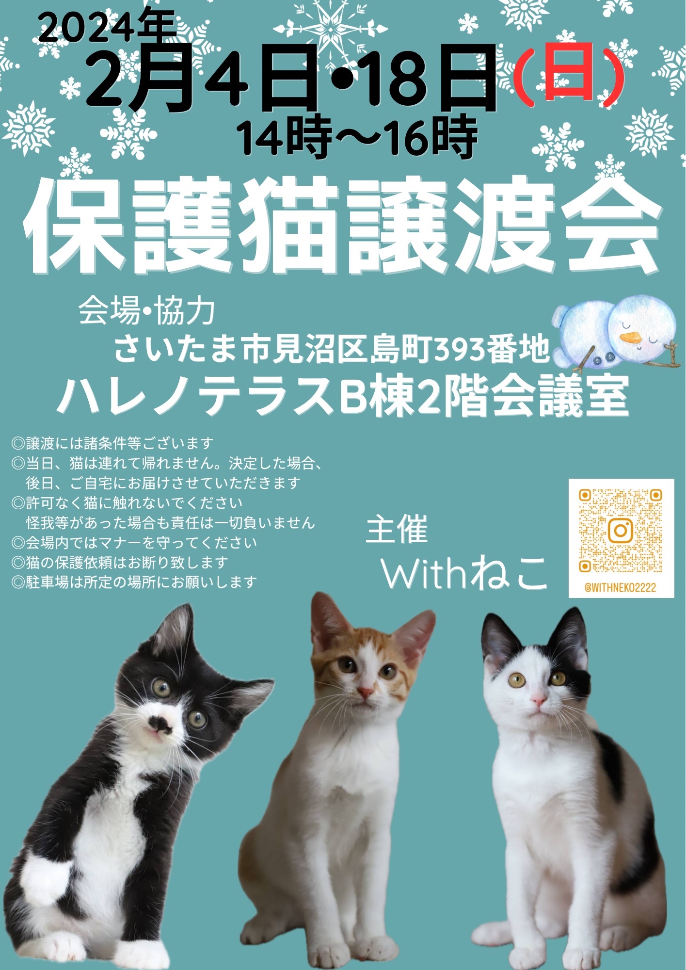 【さいたま市】2/4(日)ハレノテラス保護猫譲渡会