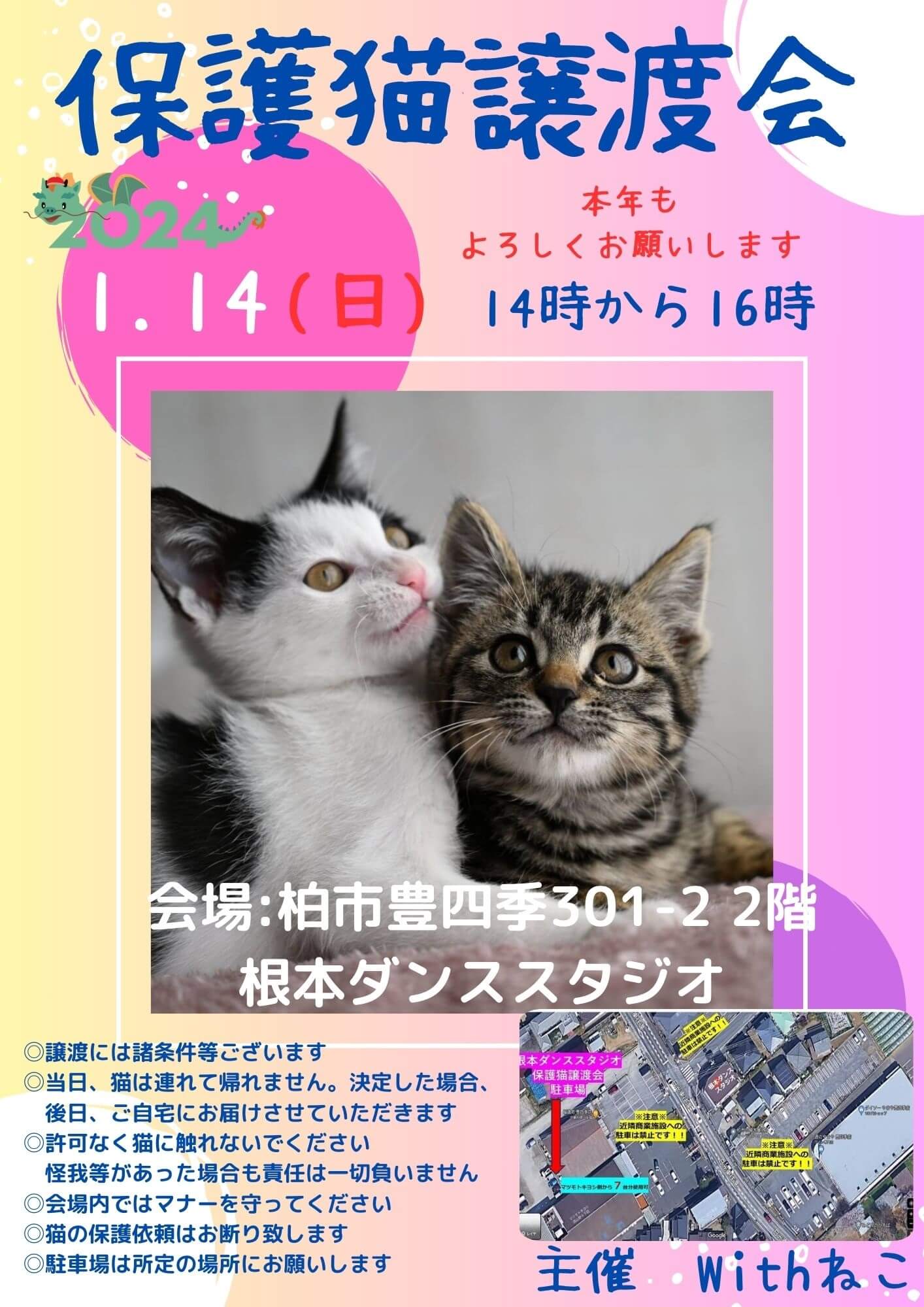 【柏市】1/14　(日)　根本ダンススタジオ保護猫譲渡会
