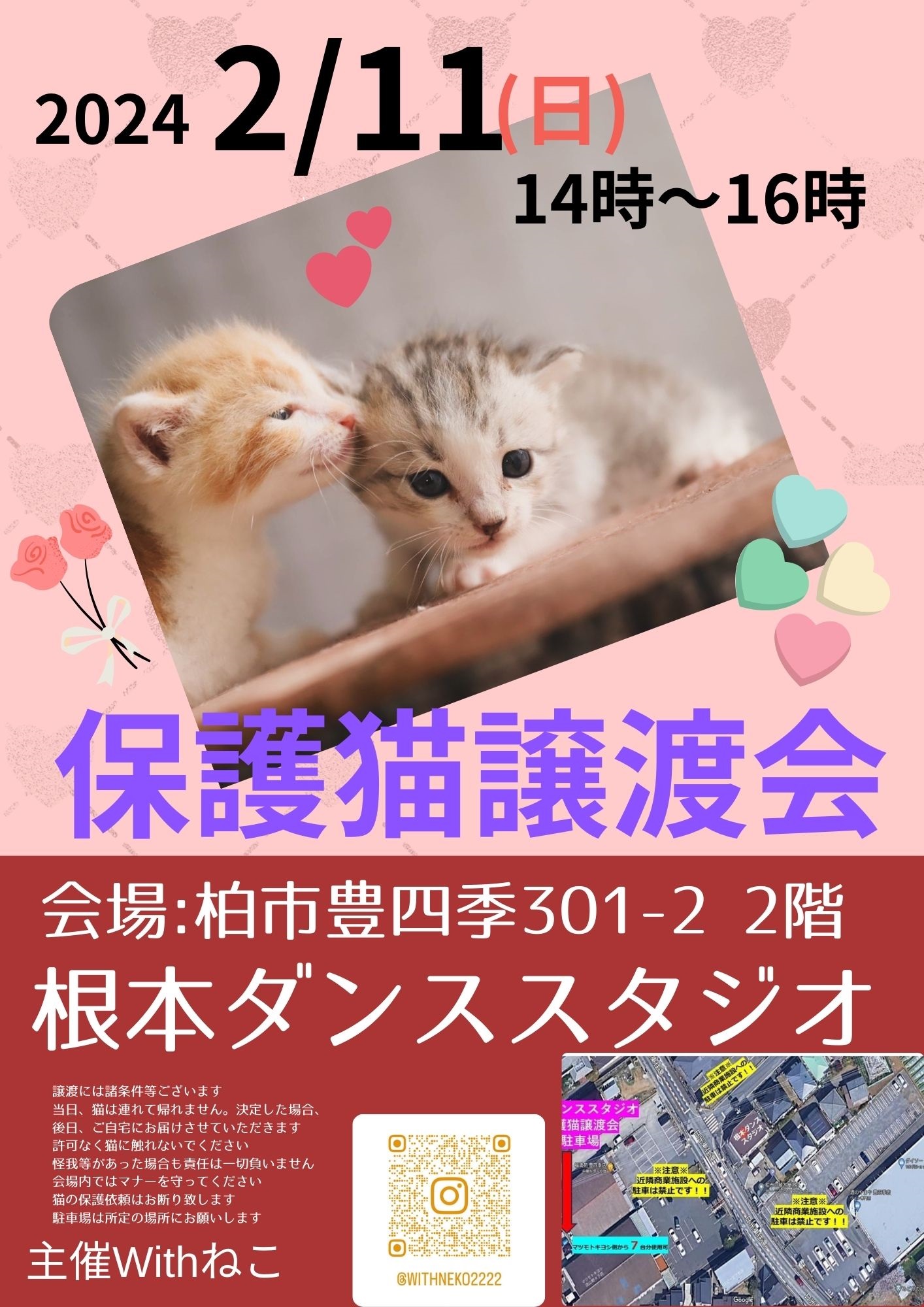 2/11（日）♡柏市♡根本ダンススタジオ保護猫譲渡会