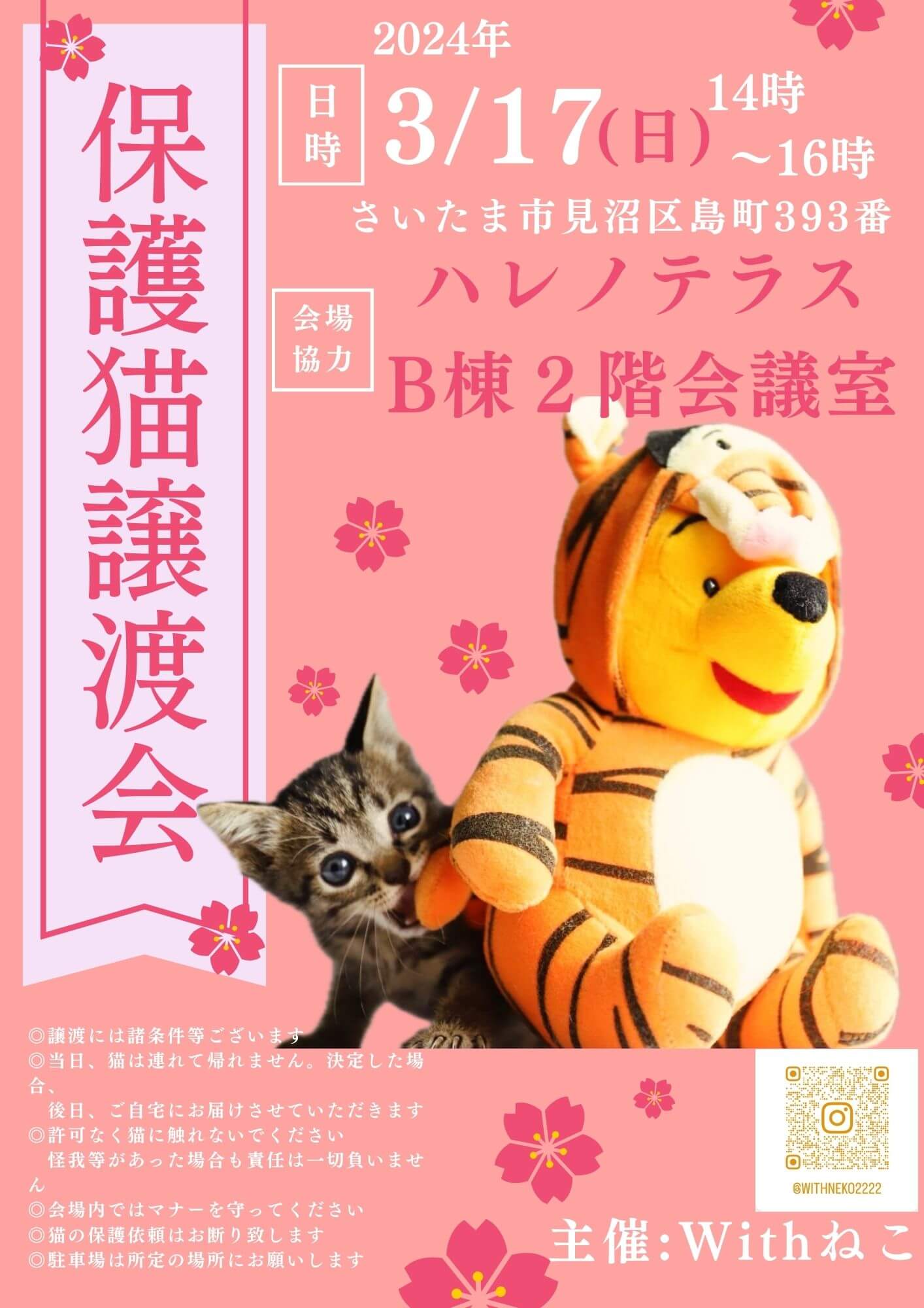 【さいたま市】3/17（日）ハレノテラス保護猫譲渡会