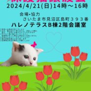 【さいたま市】4/21（日）ハレノテラス保護猫譲渡会