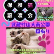 保護猫譲渡会in大南公園