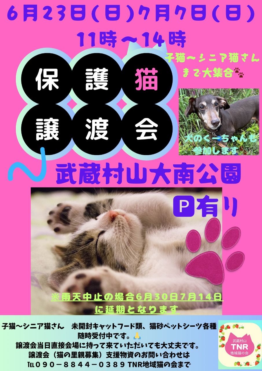 保護猫譲渡会in大南公園
