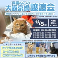京橋ふれあい譲渡会in猫カフェ