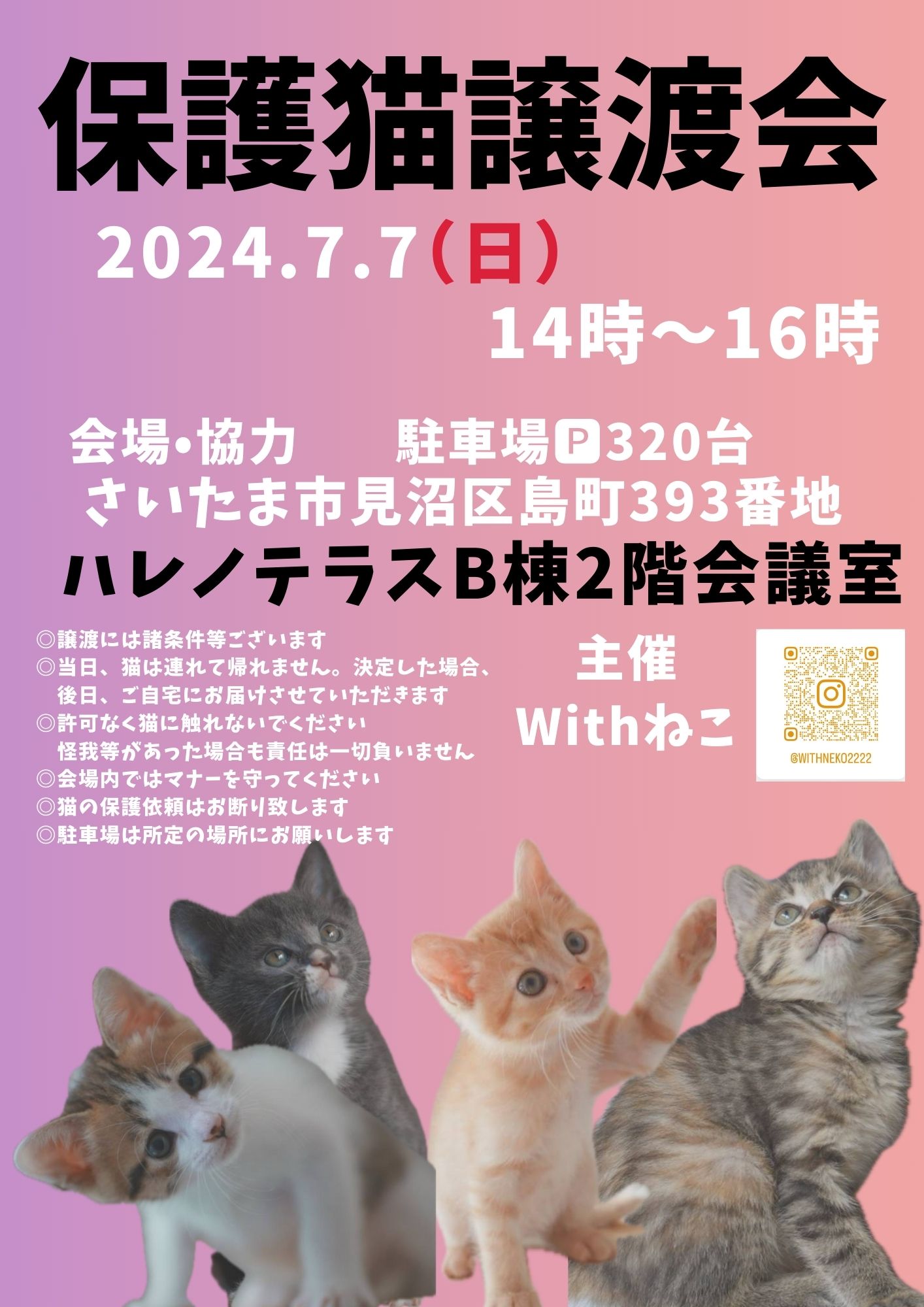 さいたま市♡7/7（日）ハレノテラス保護猫譲渡会