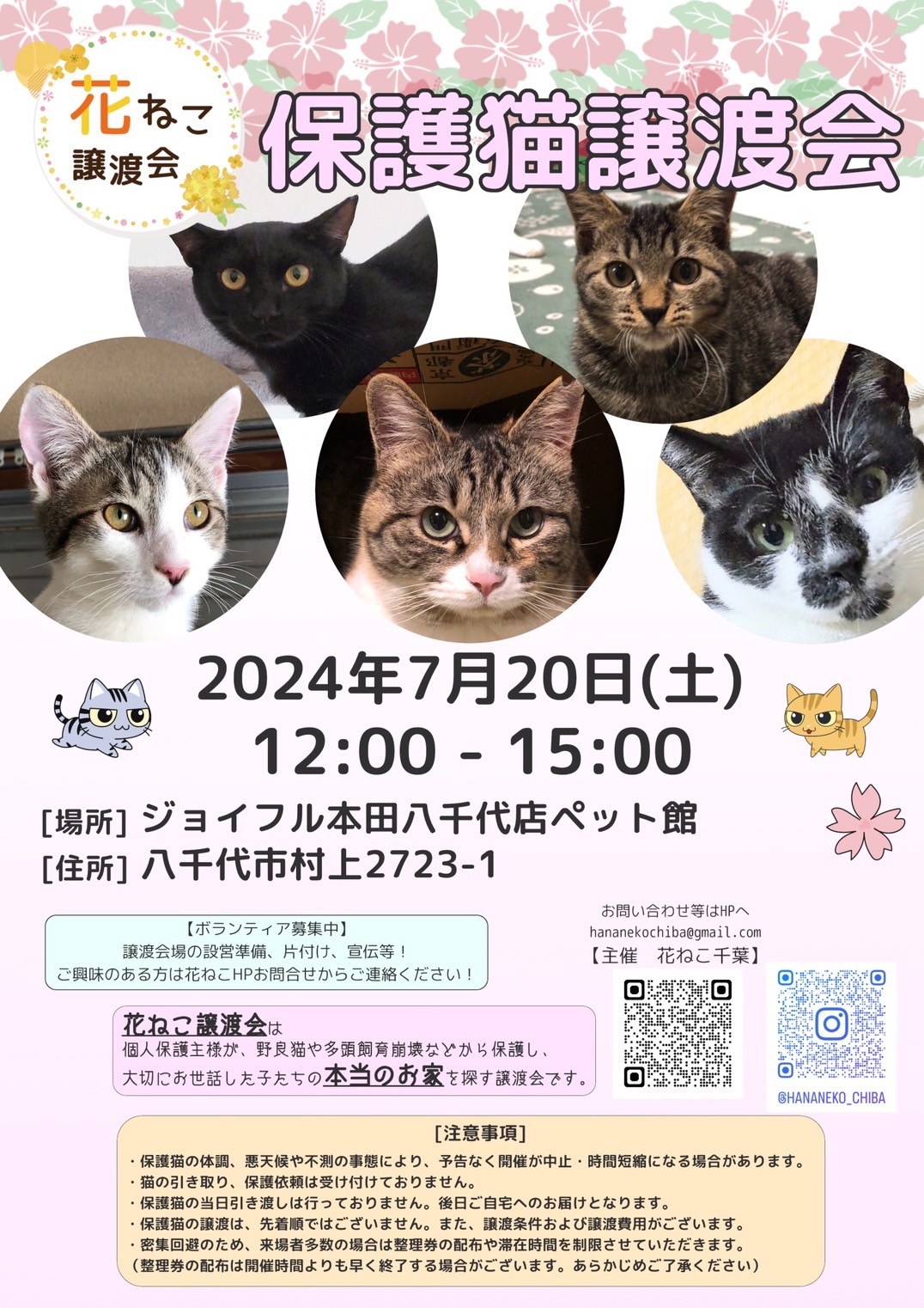 花ねこ譲渡会