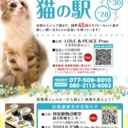 総勢45頭の保護猫たちの譲渡会【猫の駅】