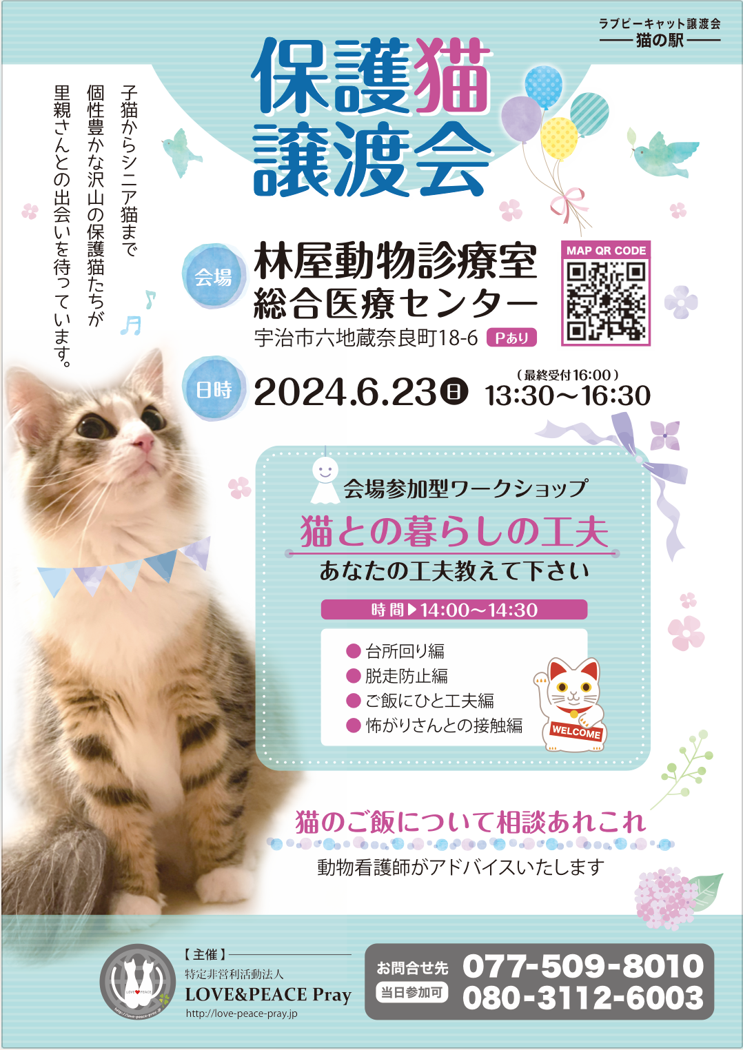 保護猫譲渡会＆ワークショップ