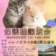 【さいたま市】6/23（日）ハレノテラス保護猫譲渡会