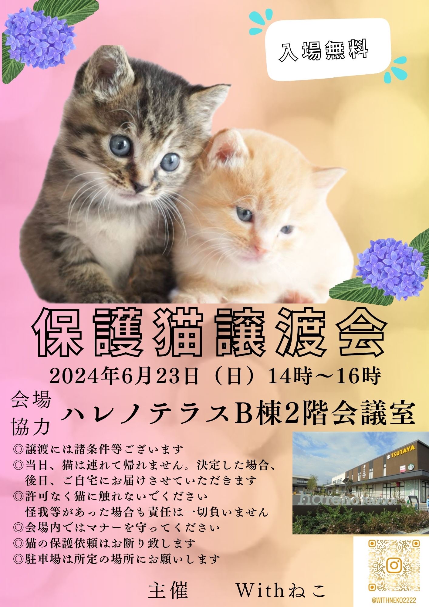 【さいたま市】6/23（日）ハレノテラス保護猫譲渡会