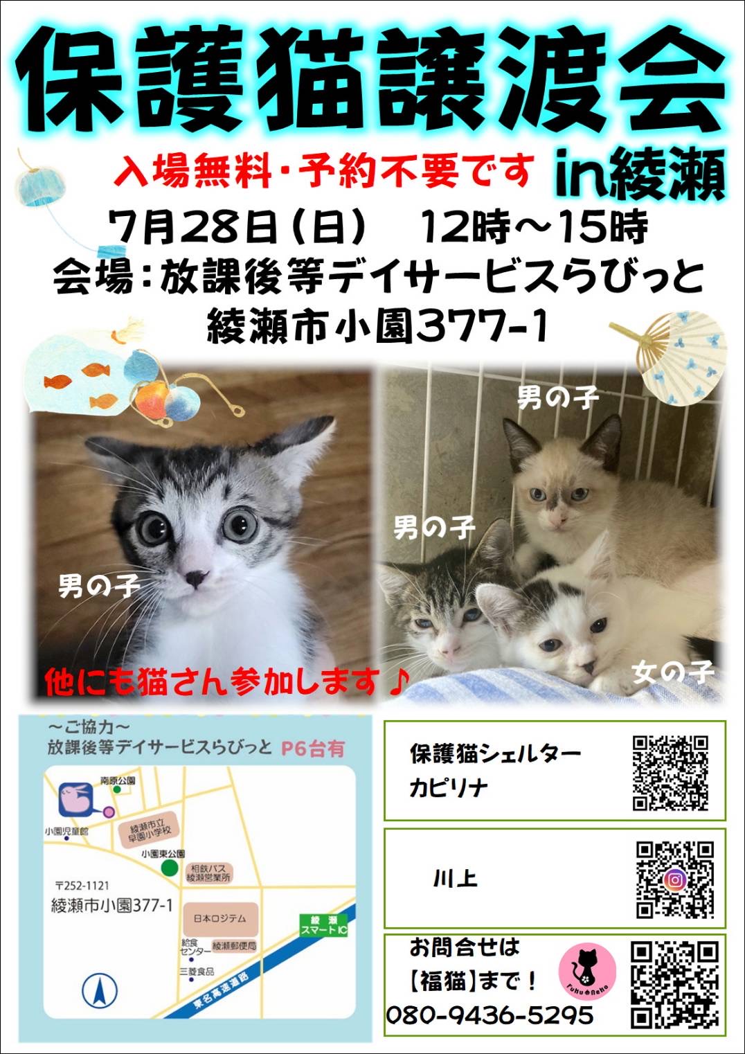 保護猫譲渡会in綾瀬