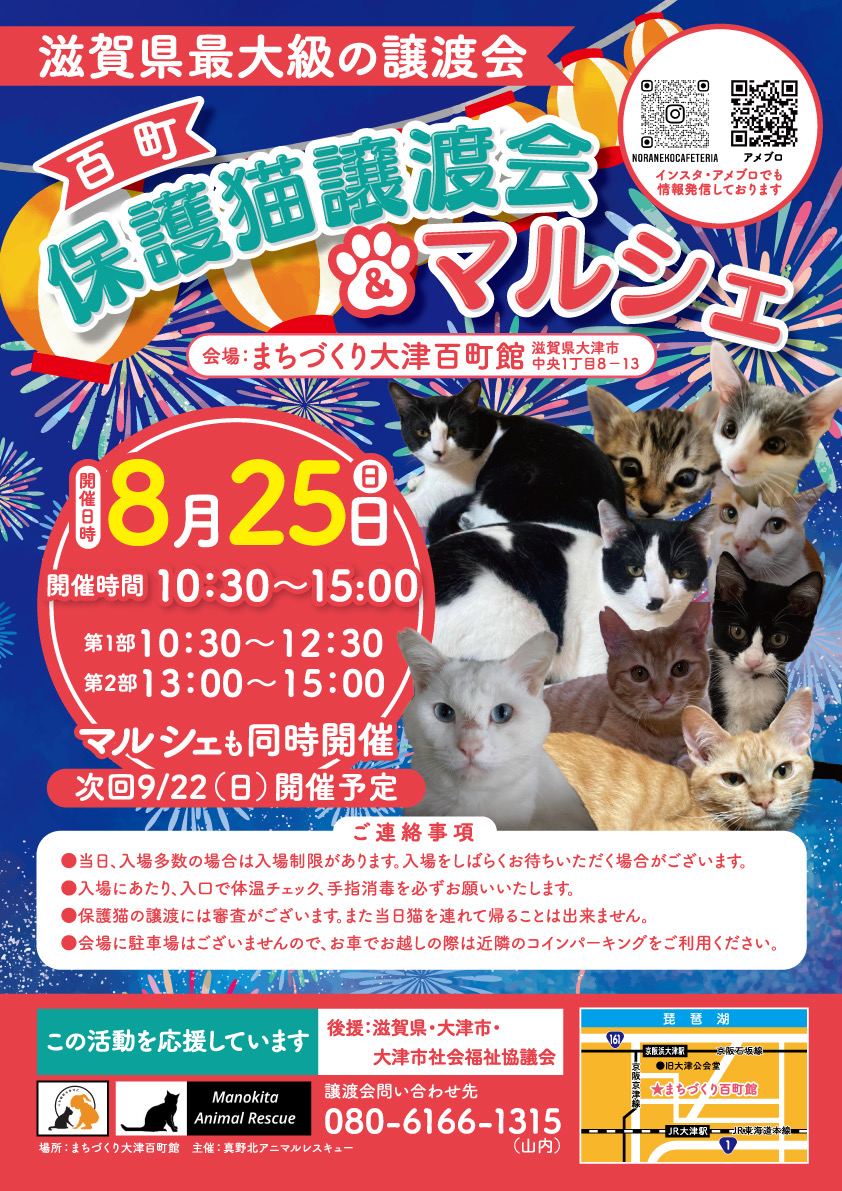 百町保護猫譲渡会＆マルシェ