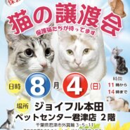 【君津市】猫の譲渡会