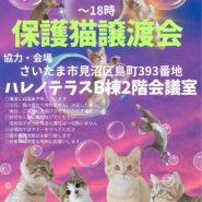 【さいたま市】８/３（土）夕涼みハレノテラス保護猫譲渡会