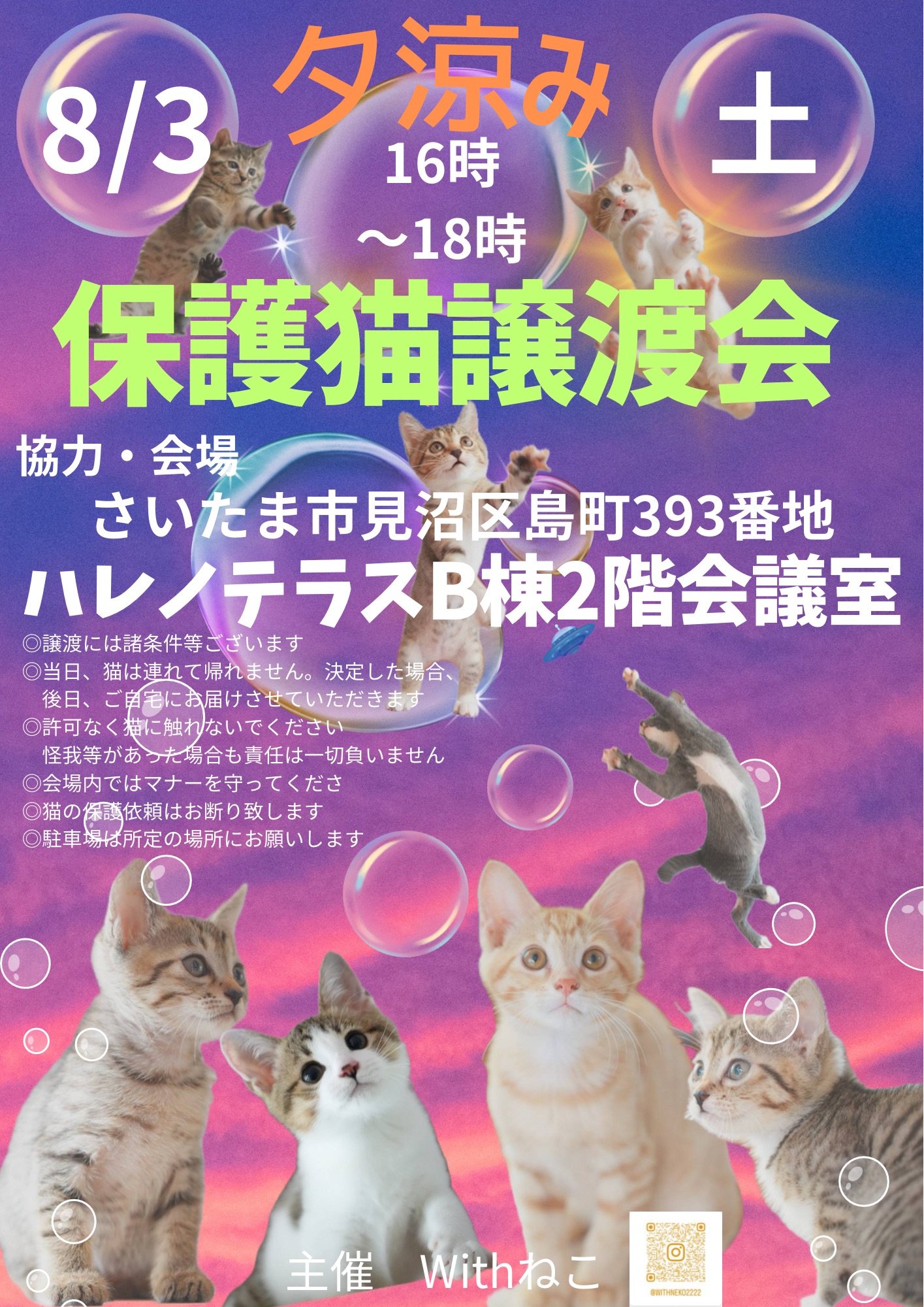 【さいたま市】８/３（土）夕涼みハレノテラス保護猫譲渡会