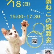 サマータイム『保護ねこの譲渡会』