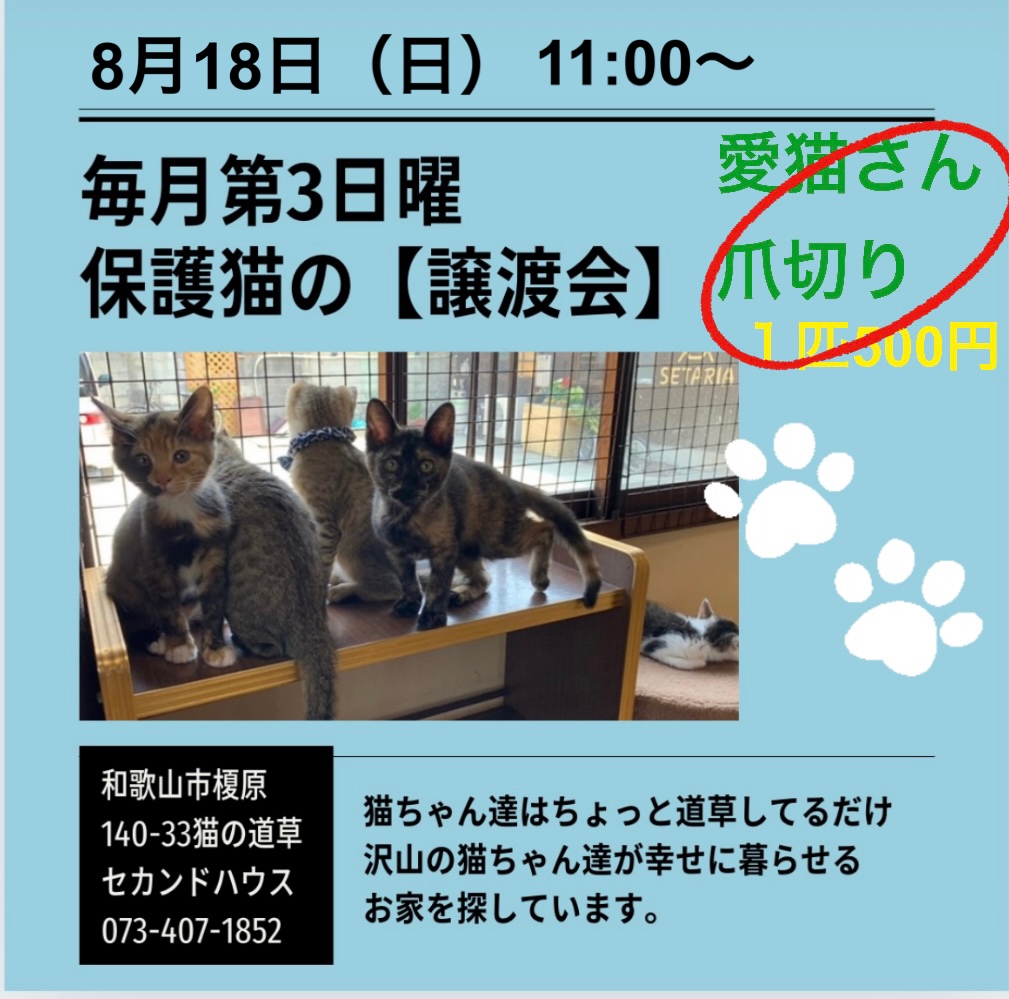 保護犬・保護猫【譲渡会】＆愛猫さんの爪切り