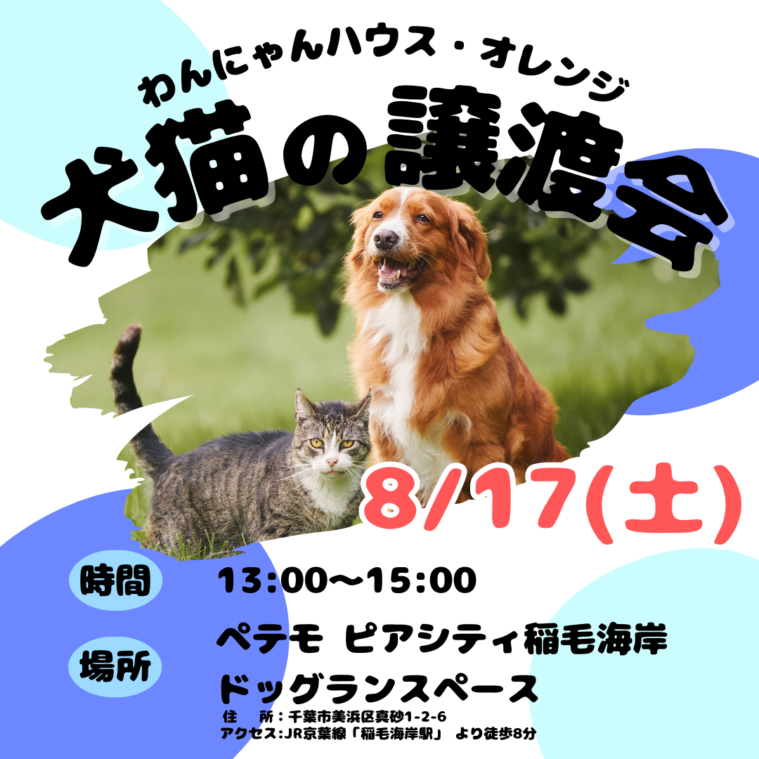 わんにゃんハウス・オレンジ☆犬猫の譲渡会