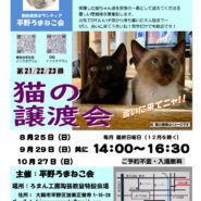 第21回 平野ろまねこ譲渡会