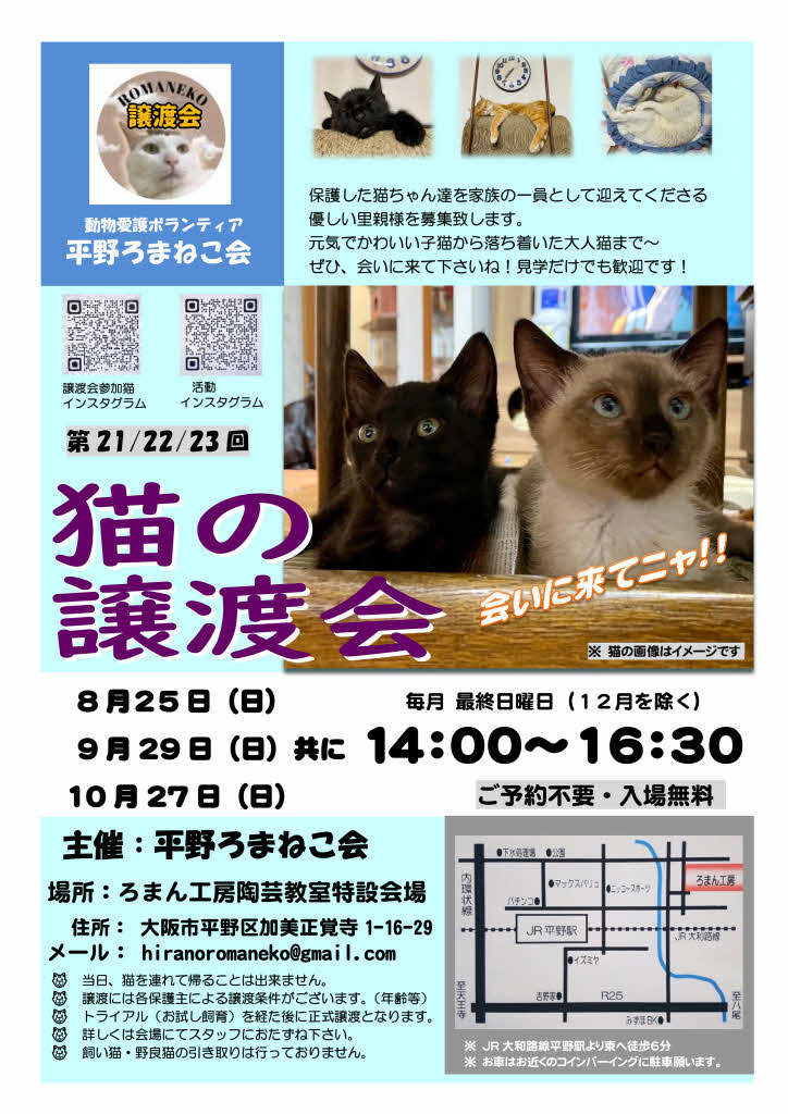 第21回 平野ろまねこ譲渡会