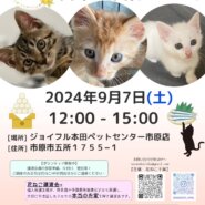 花ねこ譲渡会