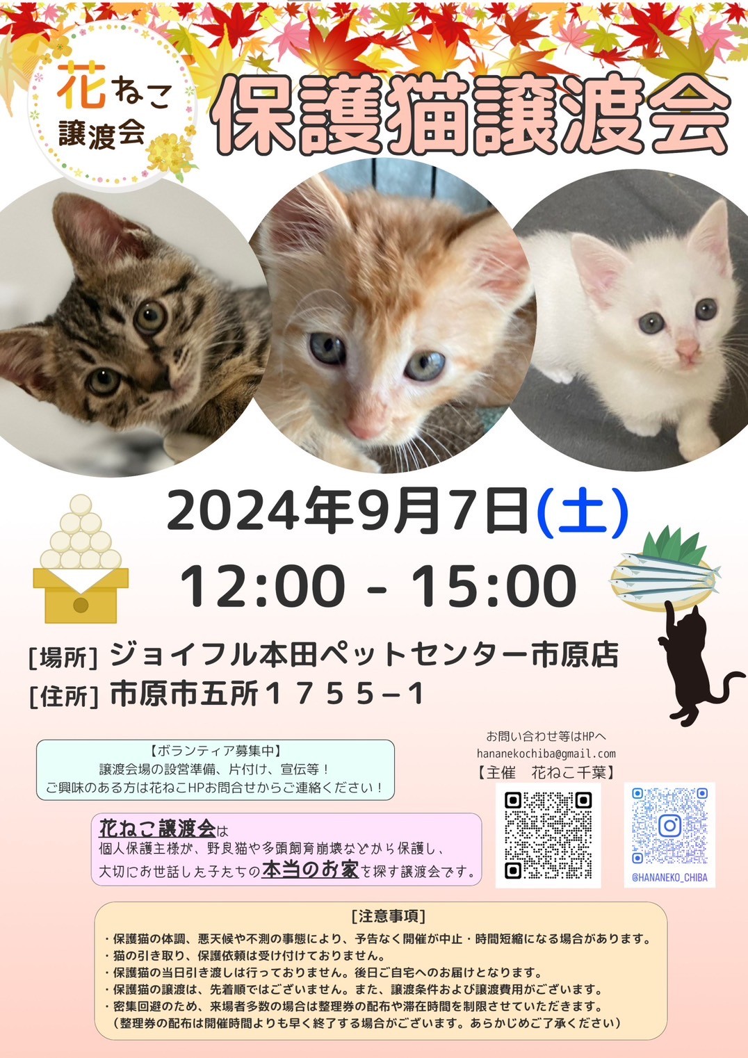 花ねこ譲渡会