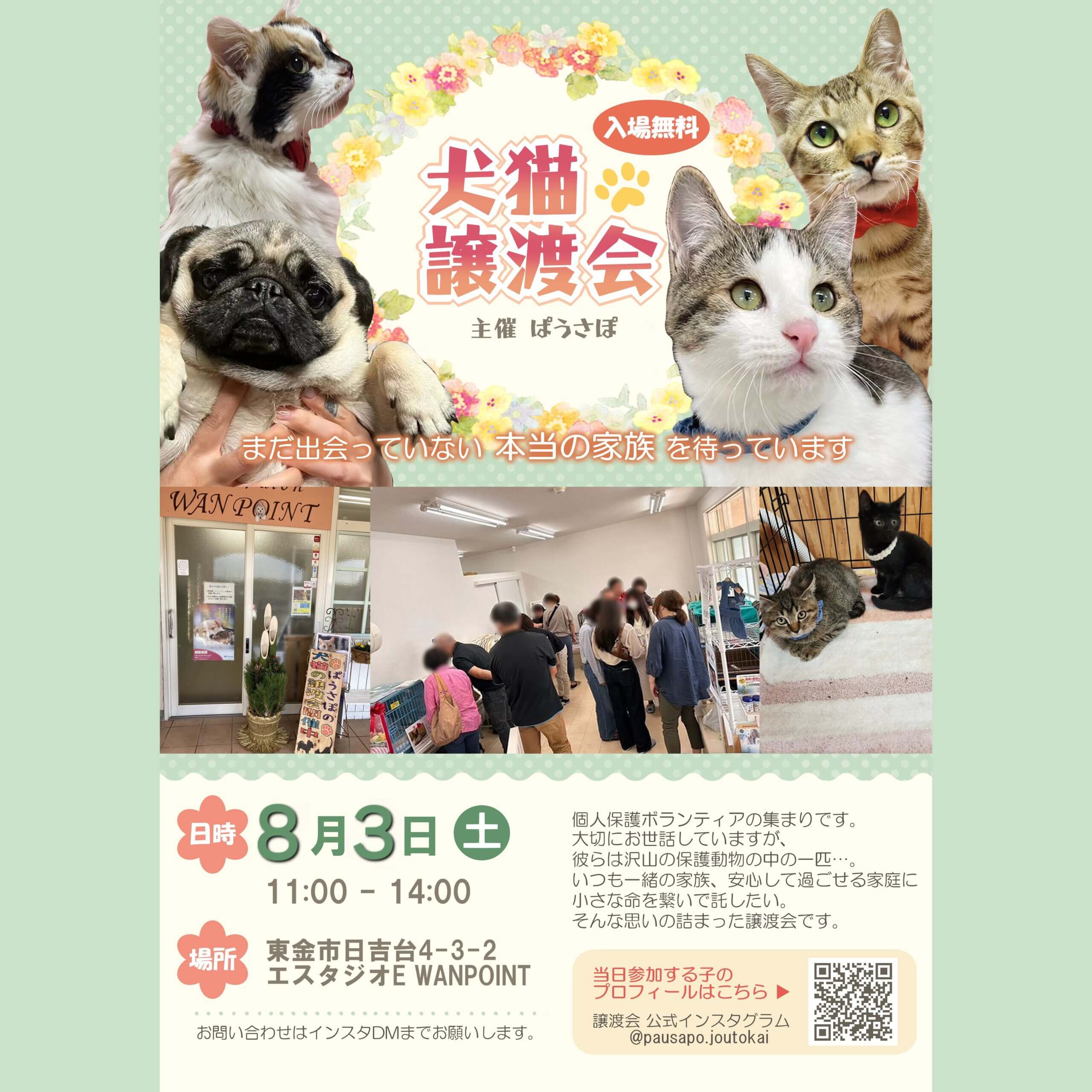 ぱうさぽ犬と猫の譲渡会