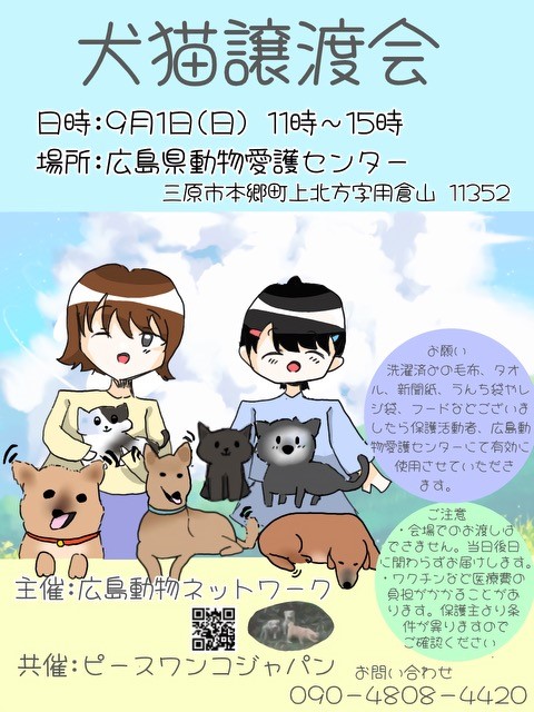 犬猫譲渡会