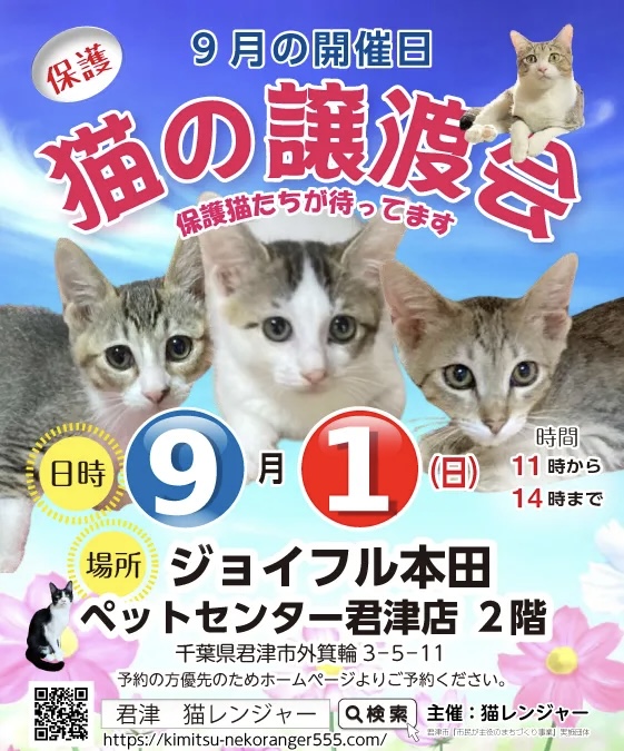 【君津市】猫の譲渡会